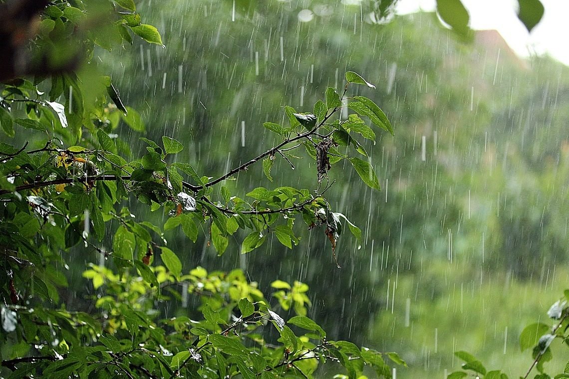 رگبار باران با احتمال رعد و برق در یزد