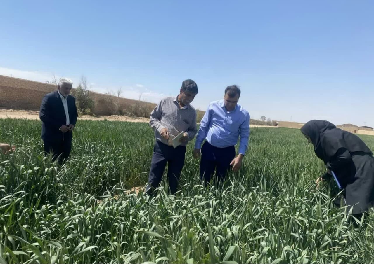 تکمیل اطلاعات مکانی و ثبت توصیفی اراضی کشاورزی یزد