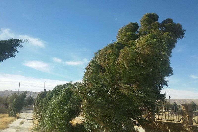 وزش باد به ‌نسبت شدید بعضاً تندباد در استان یزد