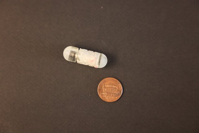 قرص رباتیک دیابتی‌ها را از تزریق انسولین نجات می‌دهد