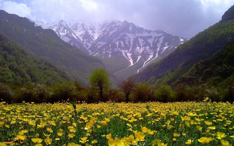 دشت دریاسر؛ جلوه ای بی همتا در مازندران