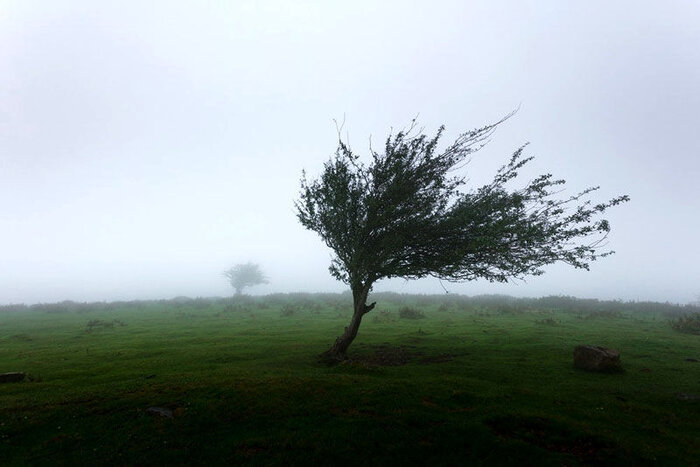 پیش بینی وزش باد به‌نسبت شدید تا شدید با احتمال گردوخاک در استان یزد