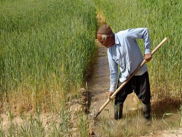 صندوق های خرد روستایی یزد جان می گیرند/تحقق «روستای بدون بیکار» با تکیه بر ظرفیت های رقابتی