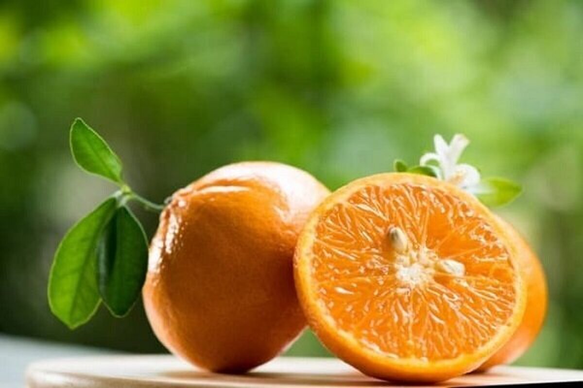 از خواص درمانی و زیبایی آب نارنج چه می دانید؟