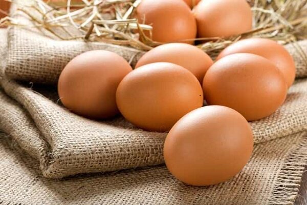 بیشتر از روزی یک عدد تخم‌مرغ مصرف نکنید