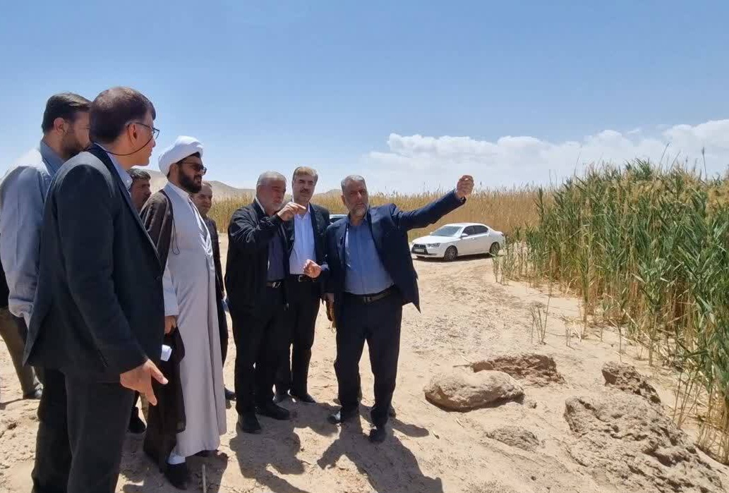 بررسی وضعیت محیط زیستی تصفیه‌خانه پساب یزد