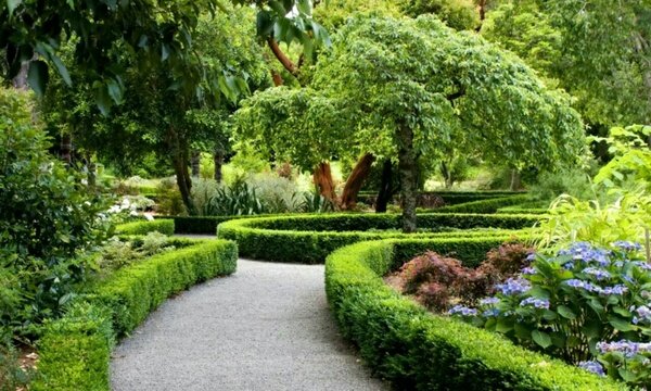 تدابیر شهرداری یزد برای حفظ طراوت فضای سبز در فصل گرم سال