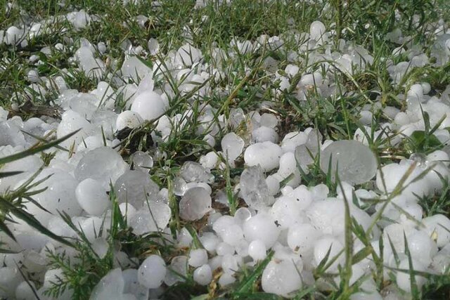 هشدارهای هواشناسی یزد به باغداران و کشاورزان