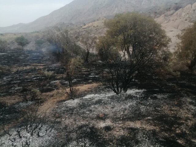 سه هکتار از اراضی کوهستانی و جنگلی بم در آتش سوخت