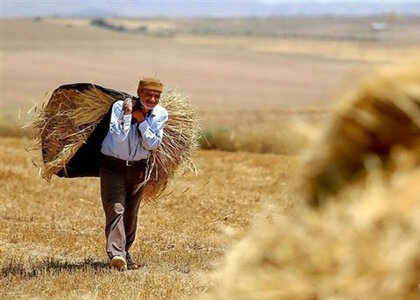 پنجمین دوره سرشماری عمومی کشاورزی در یزد آغاز شد