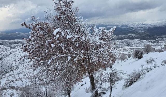 یزد همچنان روی مدار سرما