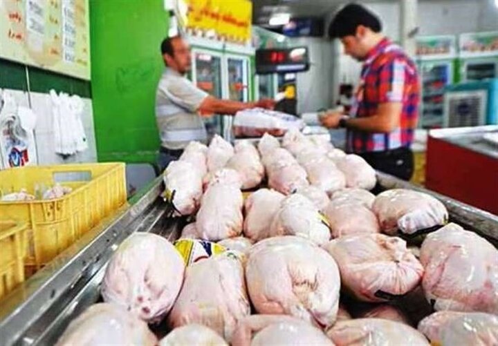 افزایش قیمت گوشت مرغ طبیعی است!
