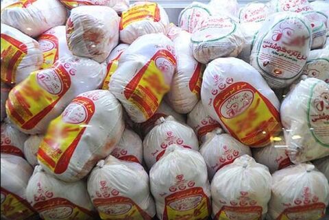گوشت مرغ مورد نیاز شهروندان یزدی در ماه رمضان تامین است