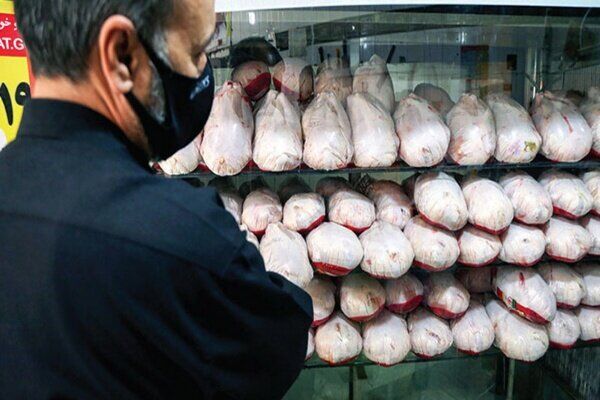 200 تن گوشت مرغ از امروز در استان یزد توزیع می‌شود