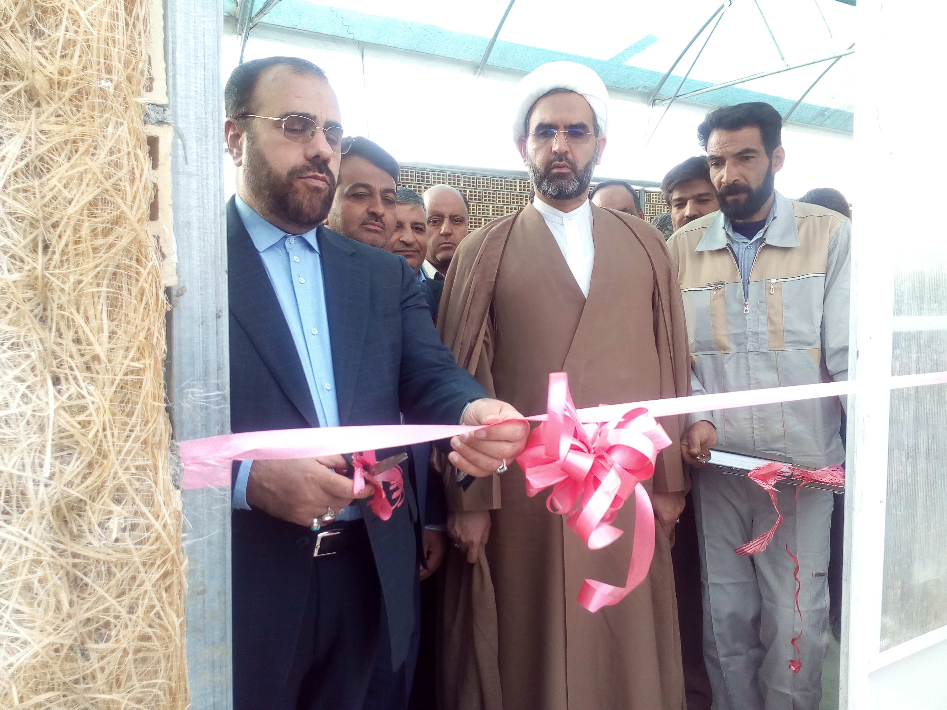 افتتاح نخستین گلخانه بدون خاک کشور در شهرستان مهریز 