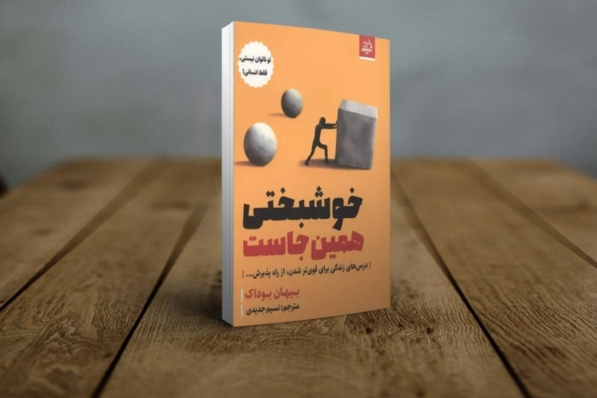 کتاب «خوشبختی همین‌جاست» منتشر شد/ درس‌های زندگی برای قوی‌تر شدن از راه پذیرش
