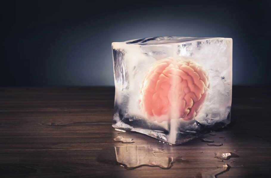 دانشمندان چینی بافت مغز منجمدشده انسان را پس از ۱۸ ماه احیا کردند