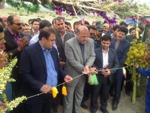 برای دومین سال متوالی؛ جشنواره فرهنگ عشایر در روستای توتک خاتم برگزار شد