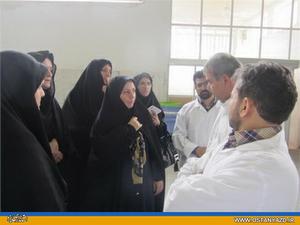 داشتن شغل تاثیر مثبتی بر زندگی بانوان دارد