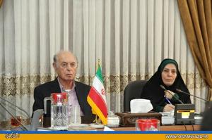 تشكيل كميته تخصصي سلامت زنان و دختران استان