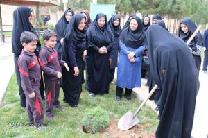 اعضای شورای زنان فرهیخته استان یزد اقدام به کاشت نهال کردند+تصاویر
