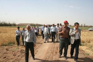  برگزاری کلاس ترویجی «روز مزرعه» در شهرستان های بهاباد و اردکان