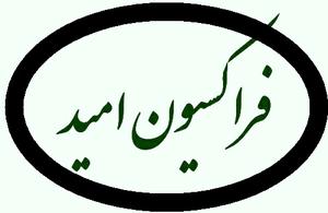 دلیل عدم انسجام فراکسیون امید