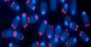 کشف هورمن افزایش طول عمر سلول های انسانی