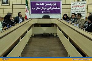 «خانوادۀ سالم و بالنده» برند اجتماعی یزد شود