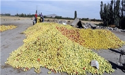 ضایعات کشاورزی 9 میلیارد مترمکعب آب هدر می‌دهد