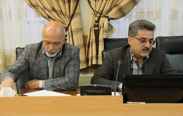 گروه تعاونی پیشگامان، نمونه ای موفق از عمل به اقتصاد مقاومتی