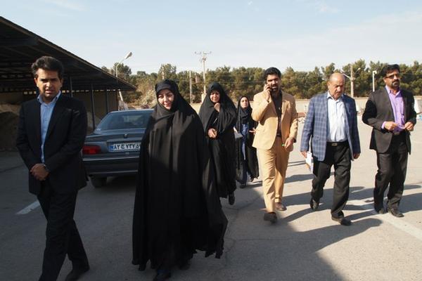 بازديد اعضاي كميسيون خدمات شهري شوراي اسلامي شهر يزد از انبارهاي شهرداري ، جاده گود زباله و كارخانه كمپوست