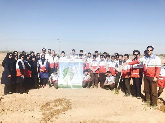 کاشت نهال صلح و دوستی توسط جوانان بشردوست جمعیت هلال احمر شهرستان یزد