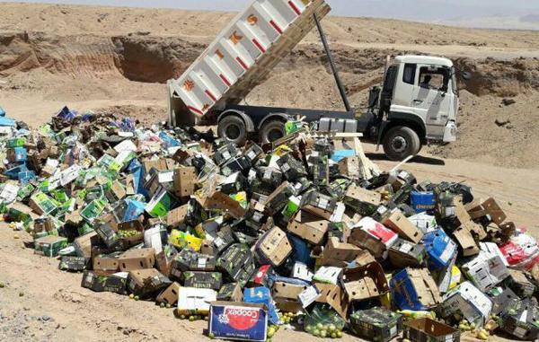 50 هزار کیلو میوه قاچاق در سبدغذایی محرومان یزد بهتر از نابودی آن نیست؟