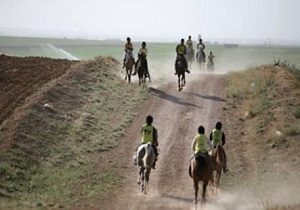 مسابقات سوارکاری استقامت استان یزد برگزار شد
