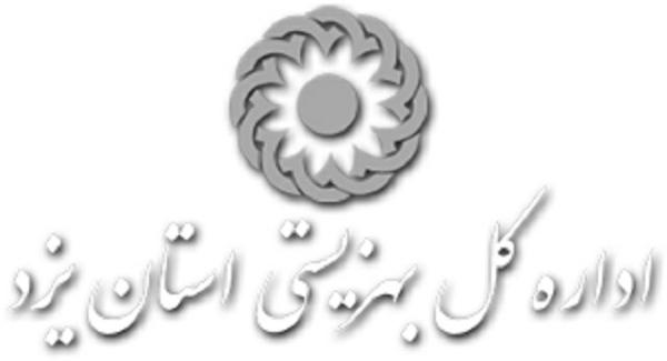 کسب رتبه برتر بهزیستی استان یزد در جشنواره ورزشی معلولان کشور