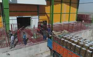 آغاز به کار سردخانه بندرخشک پیشگامان