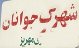 به‌دنبال اقدام غيرقانوني یکی از ادارات  مهريز:شهرك جوانان مهريز گورستان از آب درآمد 