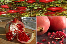 انار Pomegranate 