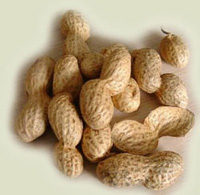 خواص گیاهان  (13) بادام زمینی (Peanut)