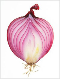  خواص گیاهان  (21)  پیاز (Onion)