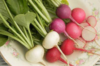  خواص گیاهان  (24)  ترب و تربچه (Radish)