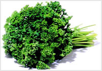 خواص گیاهان (27)  جعفری (Parsley)