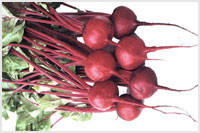 خواص گیاهان  (32)چغندر (Beets)