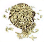  خواص گیاهان  (38)   رازیانه (Fennel)