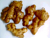  خواص گیاهان  (44) • زنجبیل (Ginger)