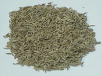  خواص گیاهان (46)   • زیره سبز (Cumin Seed)