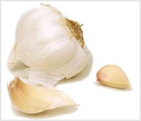 خواص گیاهان  (49) • سیر (Garlic)