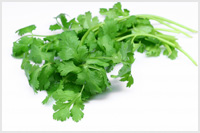  خواص گیاهان   67• گشنیز (Coriander)