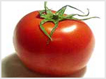  خواص گیاهان   68• گوجه فرنگی (Tomato)